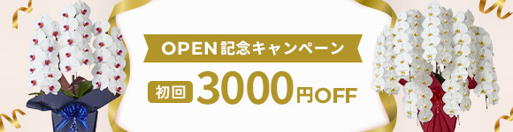 【初回購入限定】3000円OFFキャンペーン