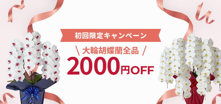 【初回購入限定】2000円OFFキャンペーン