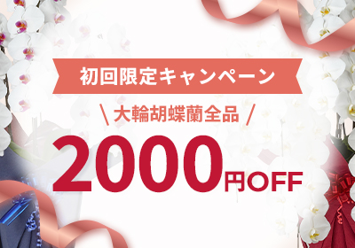 【初回購入限定】2000円OFFキャンペーン