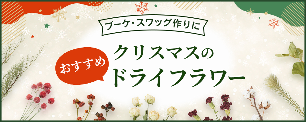 【ドライフラワー】クリスマス特集