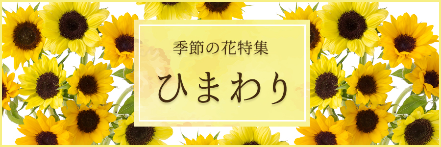 【季節の花】ひまわり特集