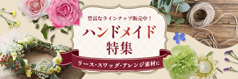 秋の和花特集