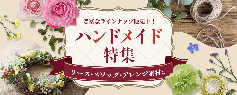 秋の和花特集