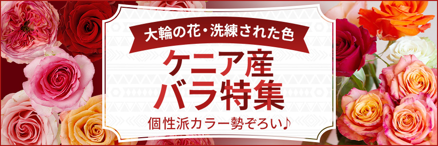 ケニアバラ特集