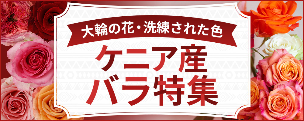ケニアバラ特集