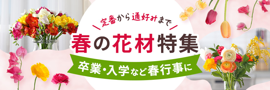 春を彩る花材大集合！入学・卒業シーズンにもオススメ