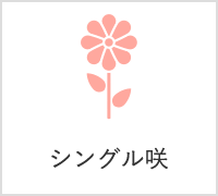 シングル咲