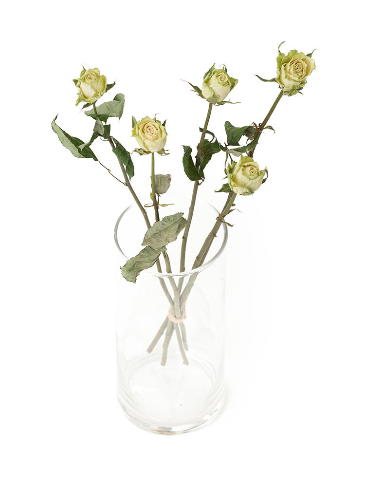 【ドライ】バラ ミントティーの全体写真のアップ