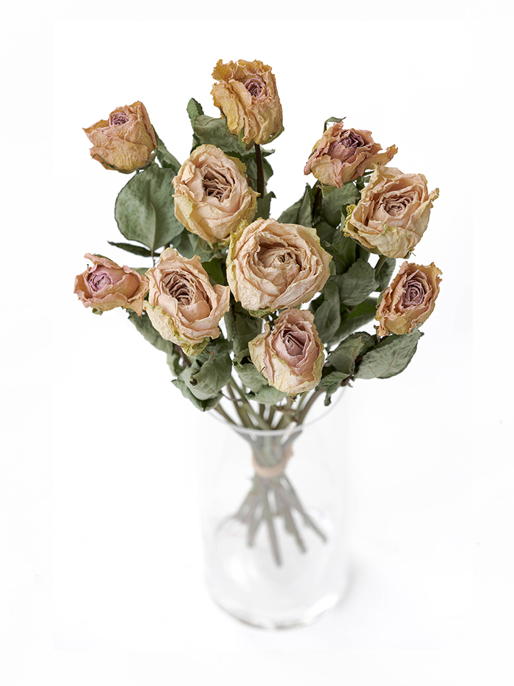 【ドライ】バラ　品種おまかせ(薄ピンク)の全体写真のアップ