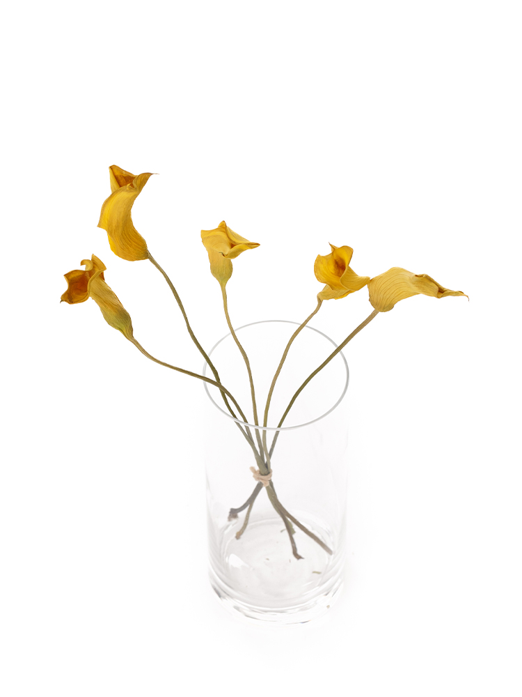 【ドライ】カラー(黄)　品種おまかせの全体写真のアップ