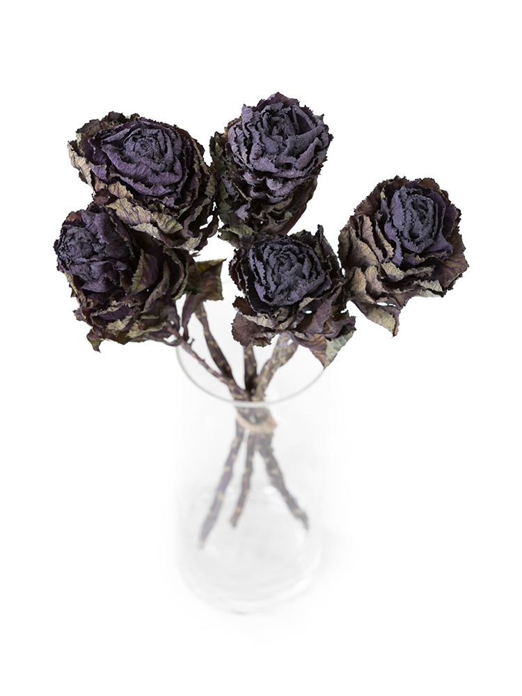 【ドライ】ハボタン(紫)　品種おまかせの全体写真のアップ