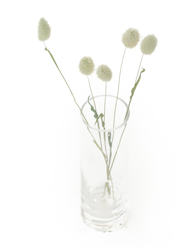 【ドライ】ラグラス　バニーテールの全体写真のアップ