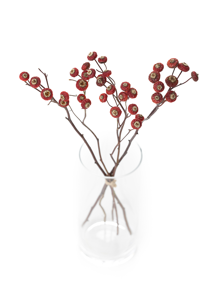 【ドライ】野ばら センセーショナルファンタジーの全体写真のアップ