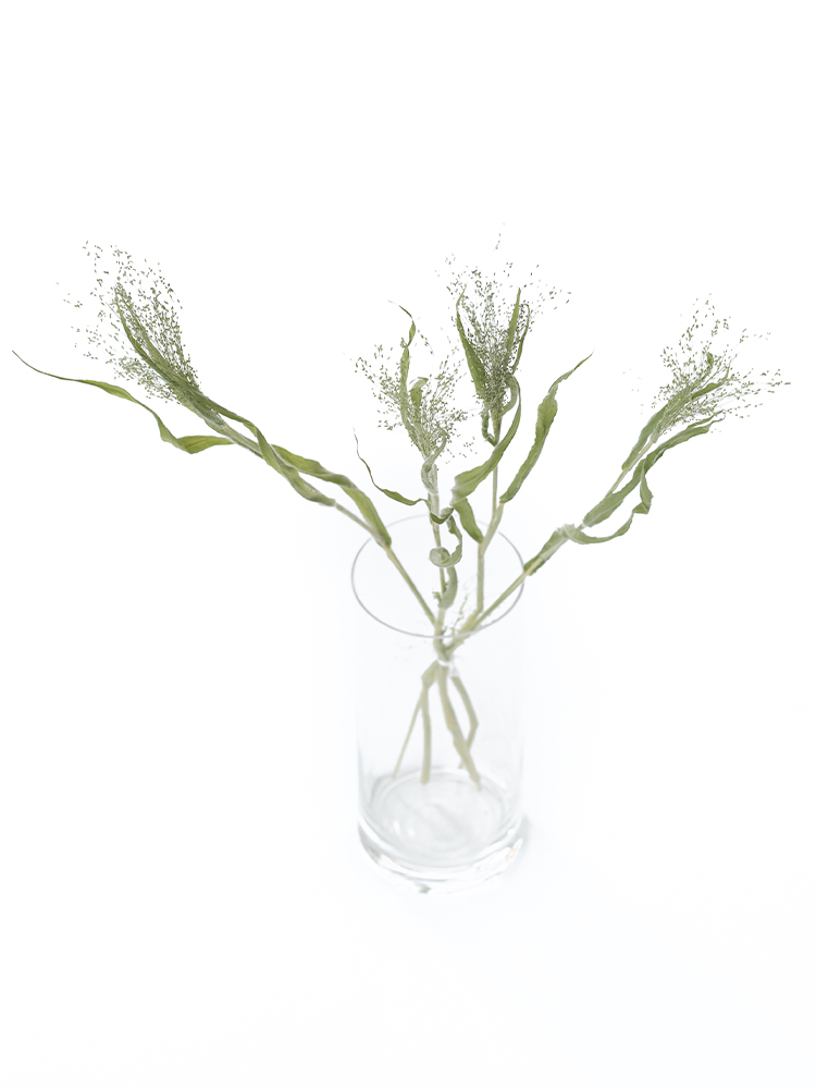 【ドライ】スモークグラス(緑)　品種おまかせの全体写真のアップ