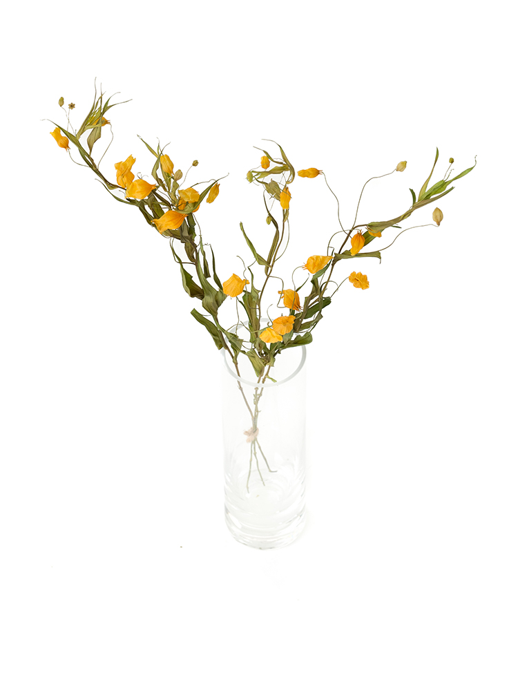 【ドライ】サンダーソニア(オレンジ)　品種おまかせの全体写真のアップ