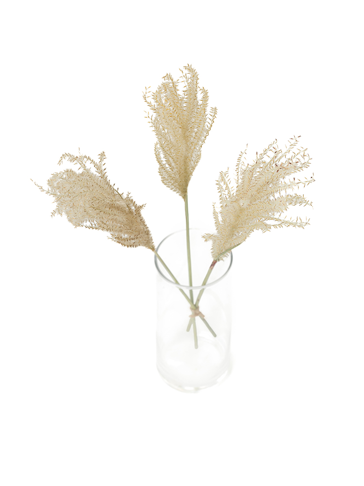 【ドライ】ススキ(茶)　品種おまかせの全体写真のアップ