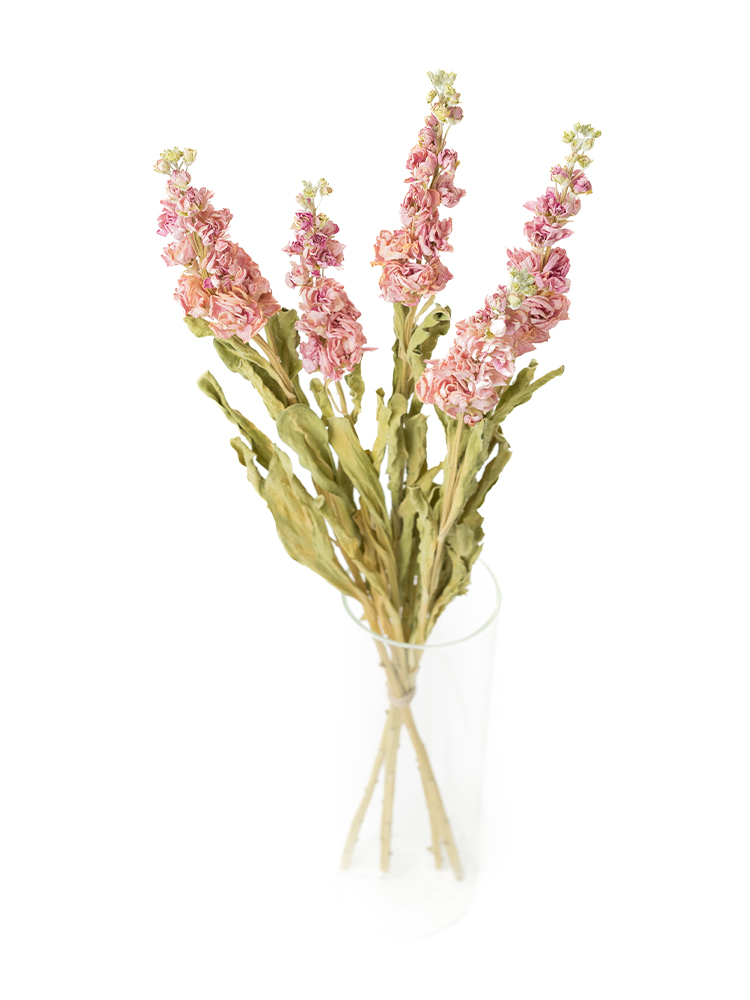 【ドライ】ストック アイアンチェリーの全体写真のアップ