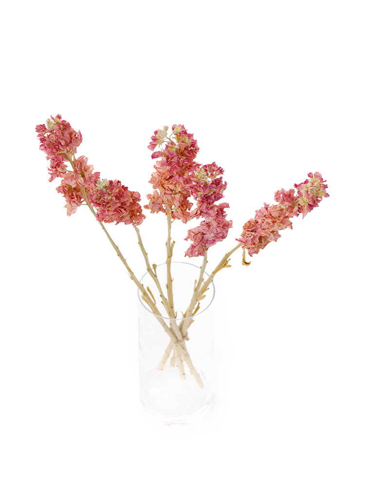 【ドライ】ストック　アイアンピンクの全体写真のアップ