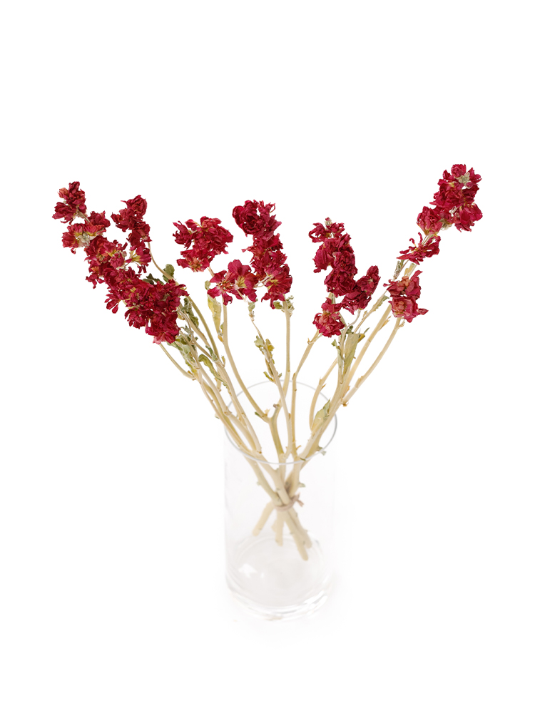 【ドライ】スプレーストック　ディープローズカルテットの全体写真のアップ