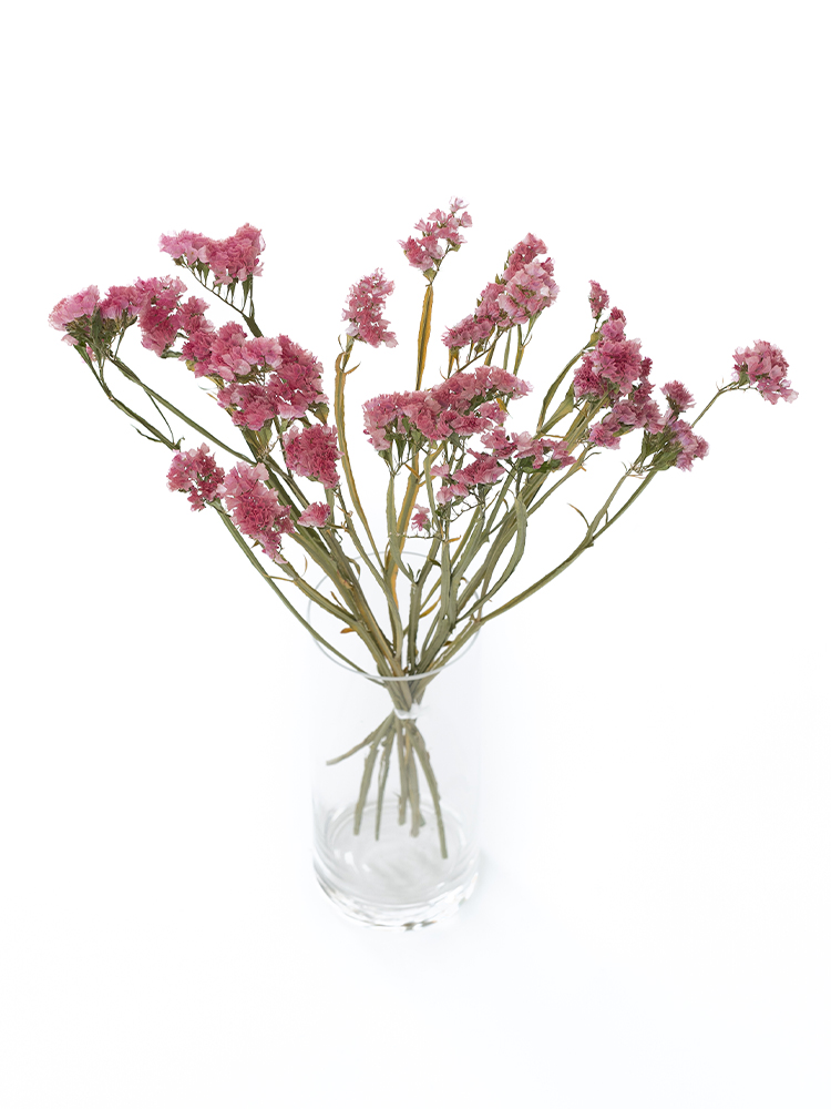 【ドライ】スターチス(ピンク)　品種おまかせの全体写真のアップ