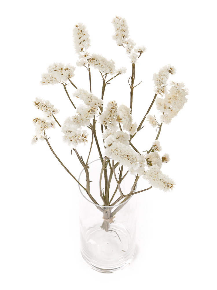 【ドライ】スターチス(白)　品種おまかせの全体写真のアップ