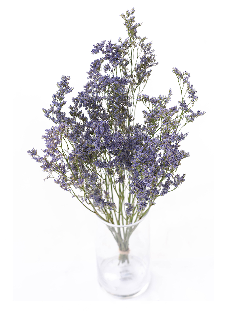 【ドライ】スターチス(ハイブリッド)　さざ波の全体写真のアップ