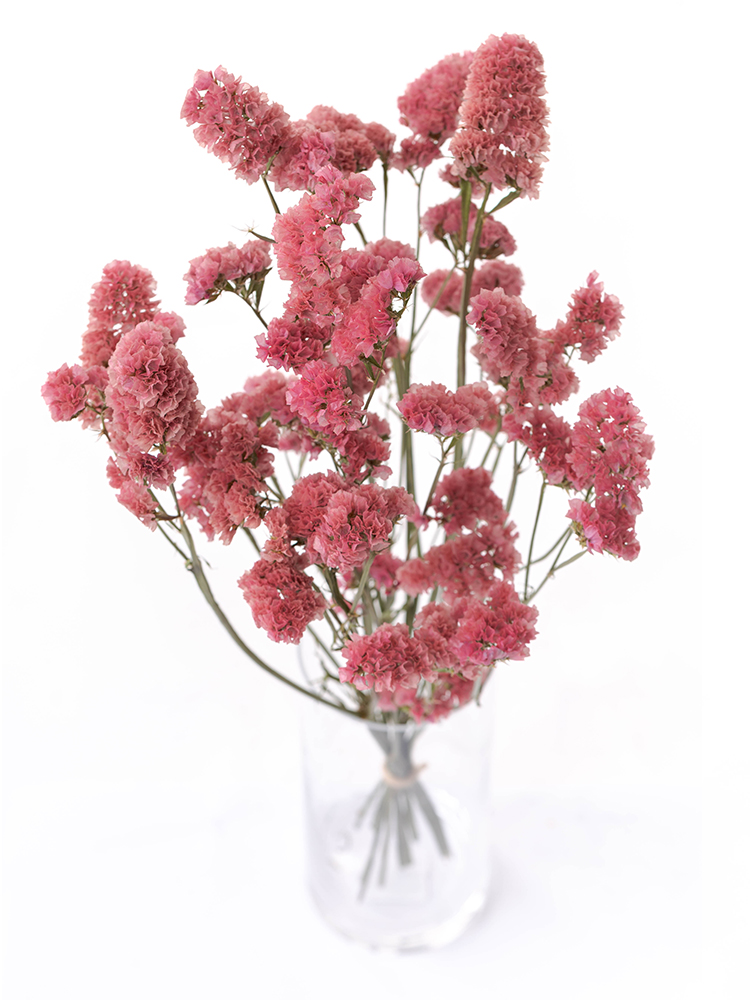 【ドライ】スターチス　大和の灯の全体写真のアップ