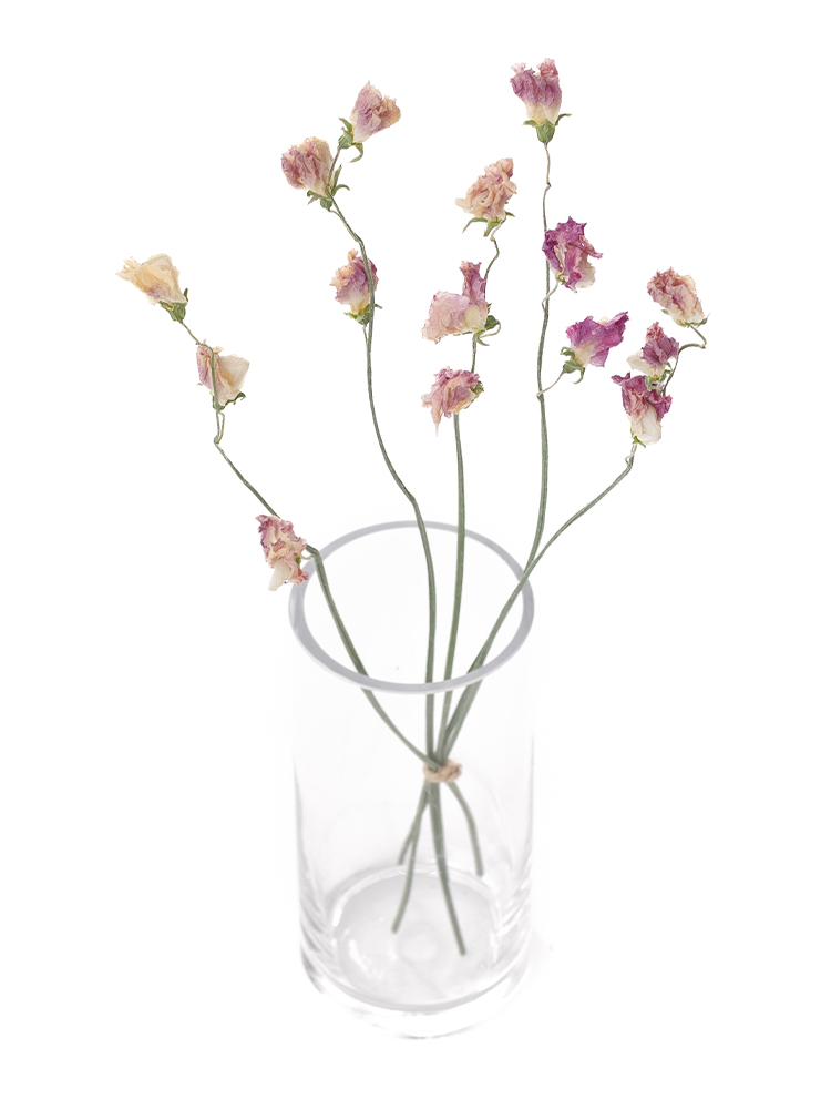 【ドライ】スイートピー(薄紫)　品種おまかせの全体写真のアップ