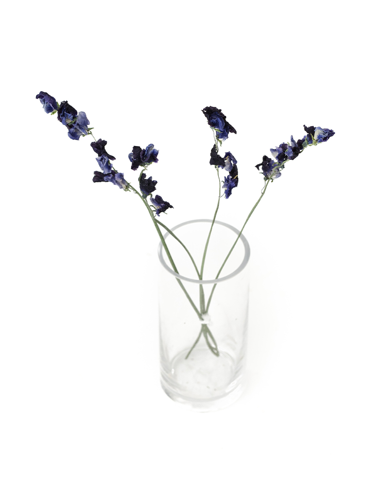 【ドライ】スイートピー　式部の全体写真のアップ