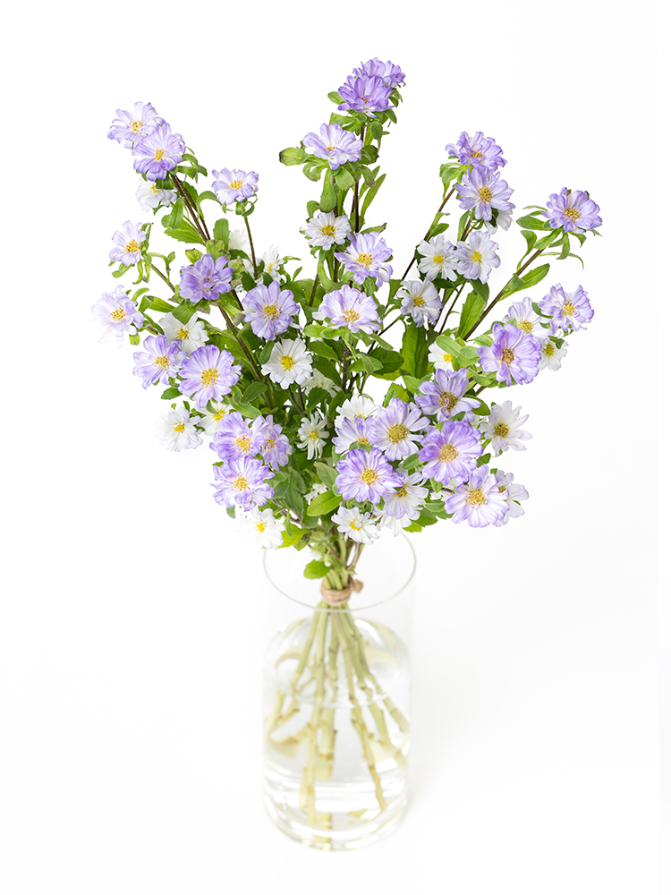 【生花】アスター 品種おまかせ(紫)の全体写真のアップ