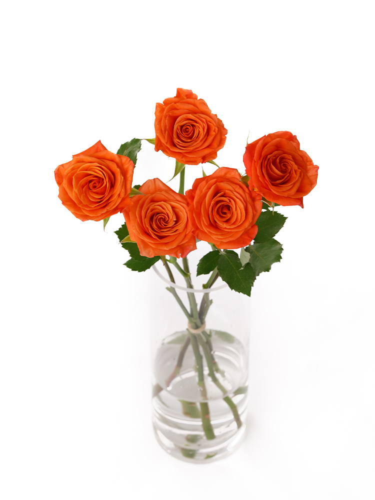 Gift flowers / Arrangement - original and designs Opera