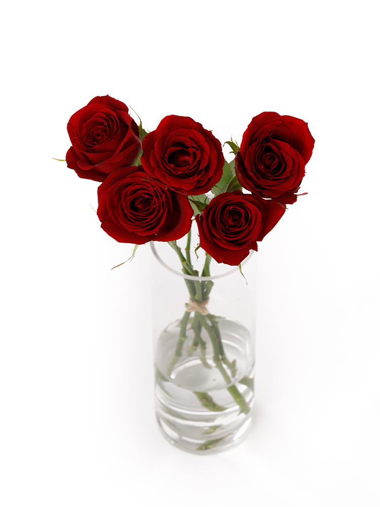 【生花】バラ(ケニア)赤 品種おまかせの全体写真のアップ