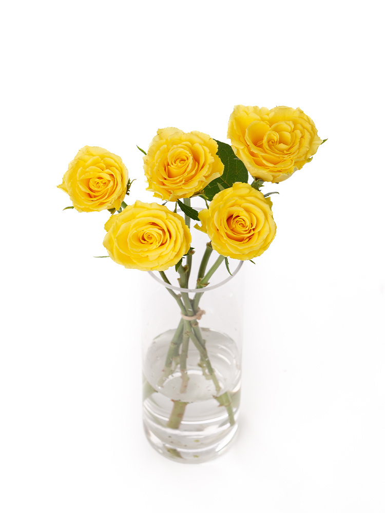 【生花】バラ(ケニア)黄 品種おまかせの全体写真のアップ