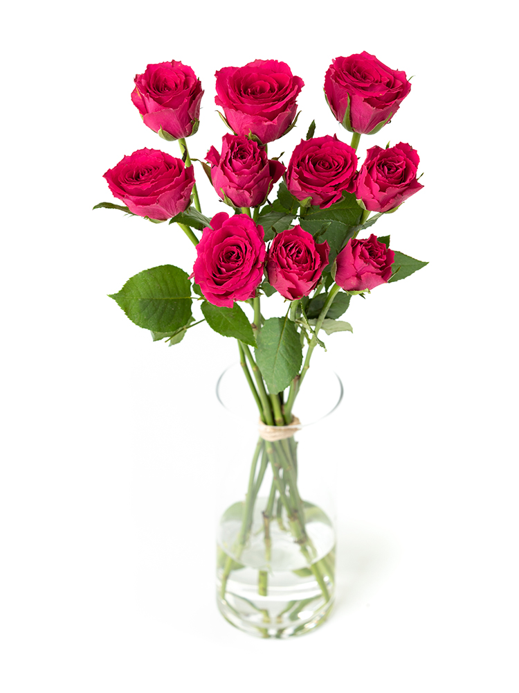 【生花】バラ マダムセリーズの全体写真のアップ