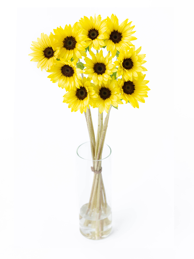 アウトレット福袋 生花】ひまわり サンリッチバナナ【黄/60cm/千葉県】｜Flower 木製ラック・ウッドラック