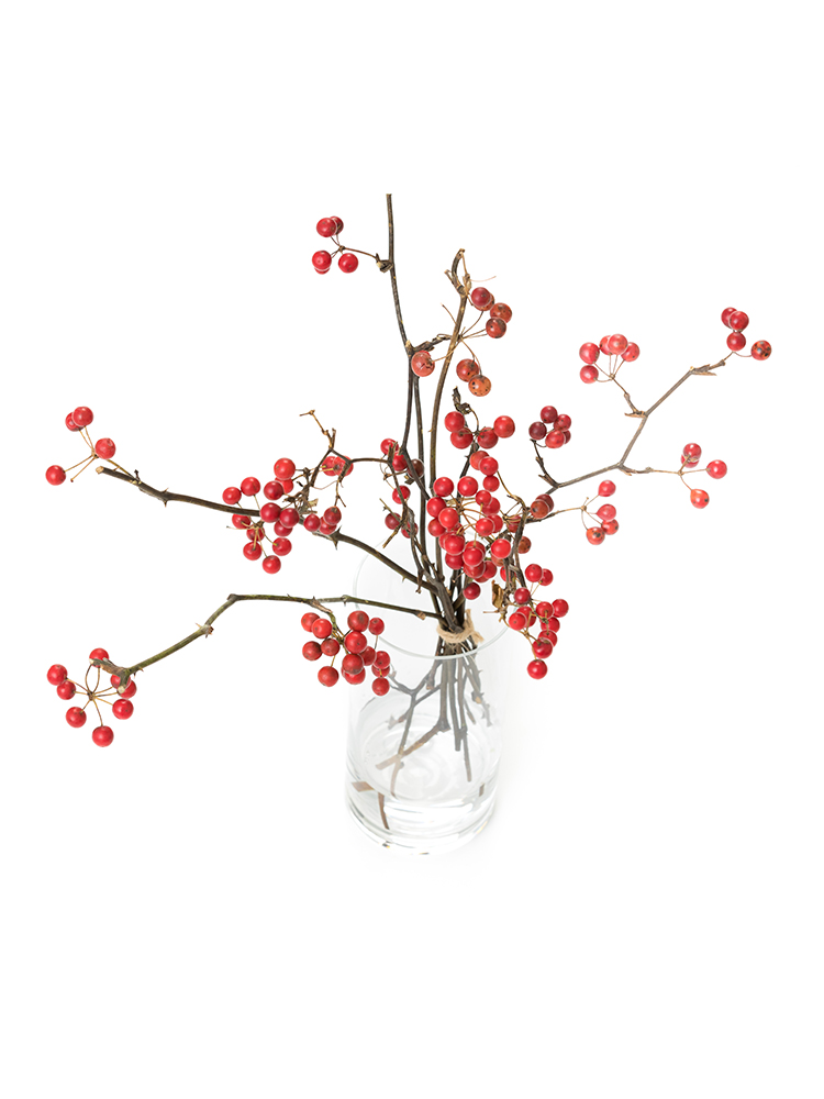 生花】サンキライ(赤) 品種おまかせ【100cm/中国】｜Flower Smith