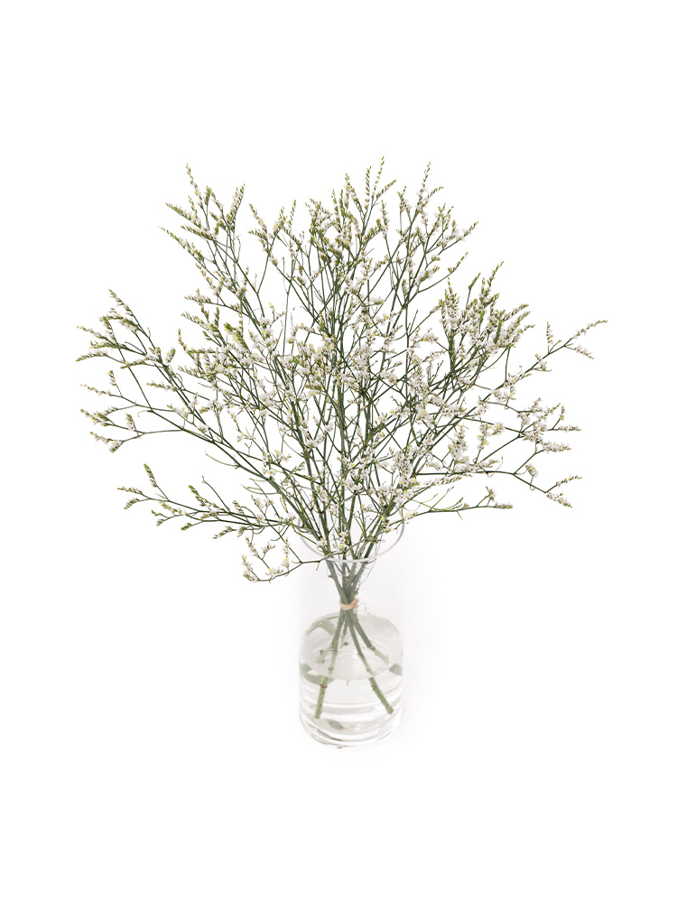 【生花】スターチス(ハイブリッド) 白流の全体写真のアップ