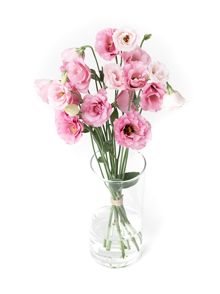 【生花】トルコキキョウ ラビアージュの全体写真のアップ