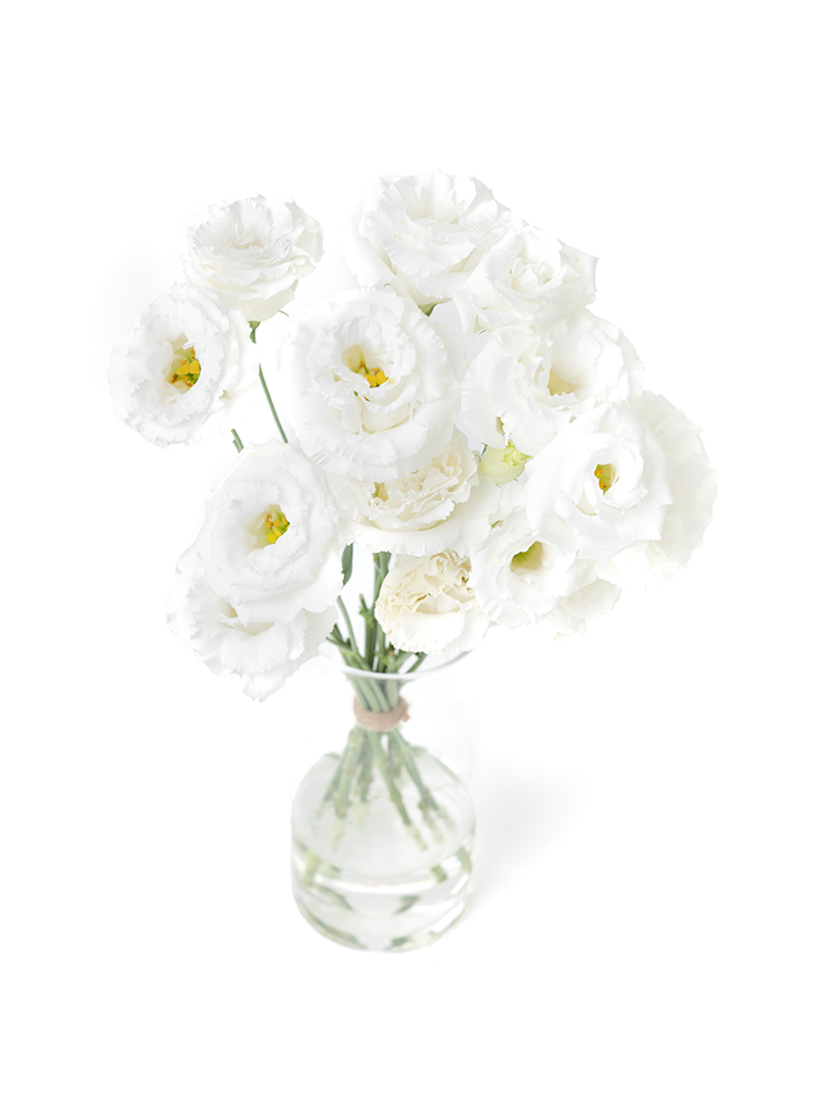 【生花】トルコキキョウ(白) 品種おまかせの全体写真のアップ