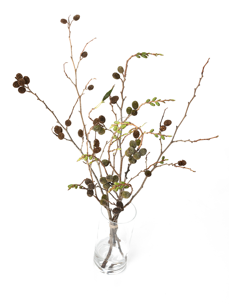 【生花】ヤシャ 品種おまかせ(緑)の全体写真のアップ