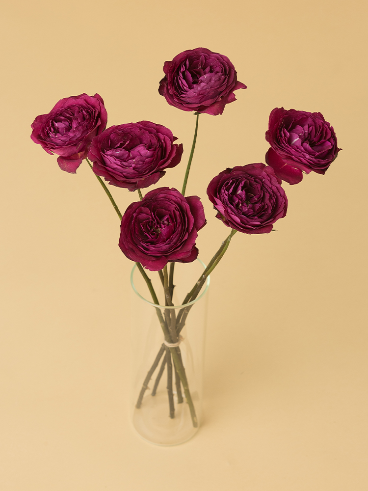 【高級ドライ】バラ フレグランスレッドの全体写真のアップ