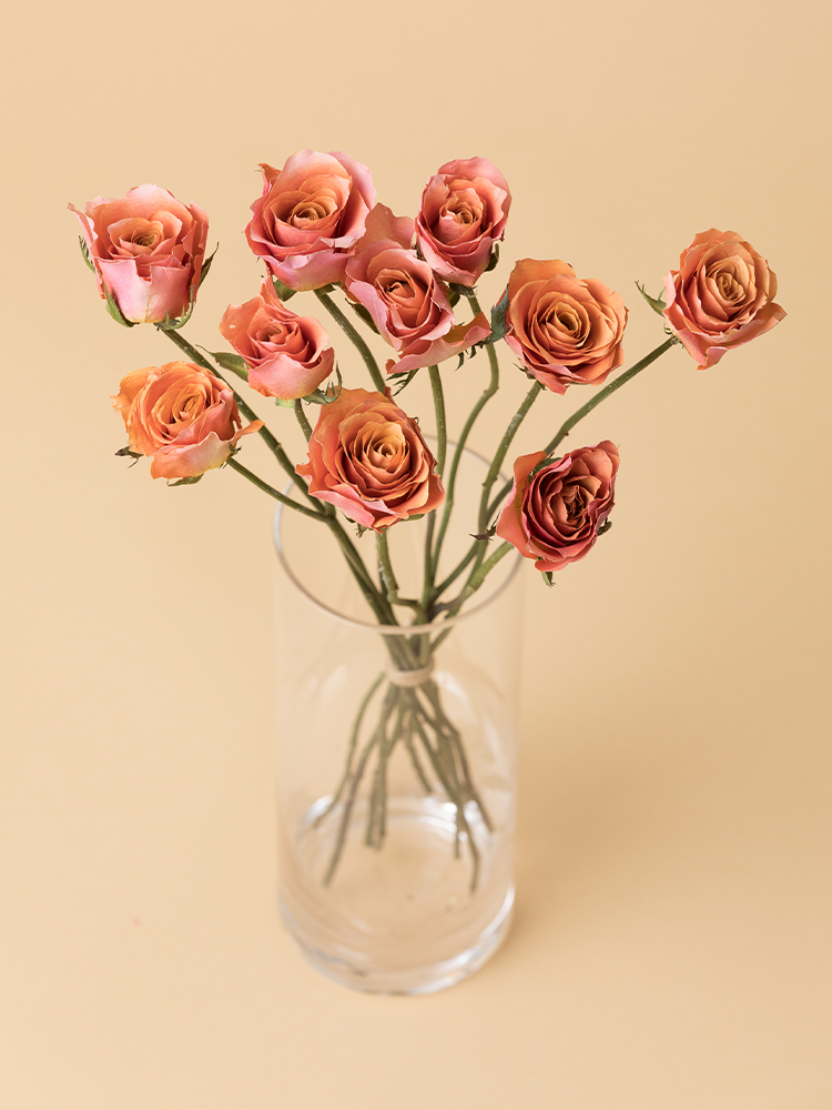 【高級ドライ】バラ(オレンジ) 品種おまかせの全体写真のアップ