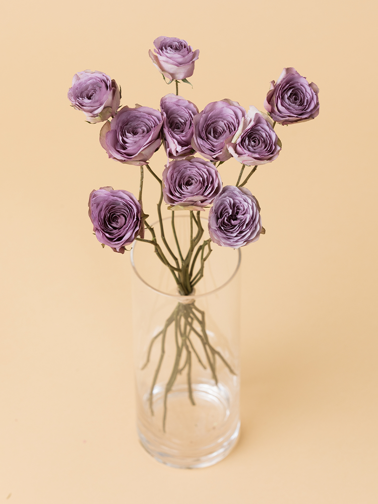 【高級ドライ】バラ(紫) 品種おまかせの全体写真のアップ