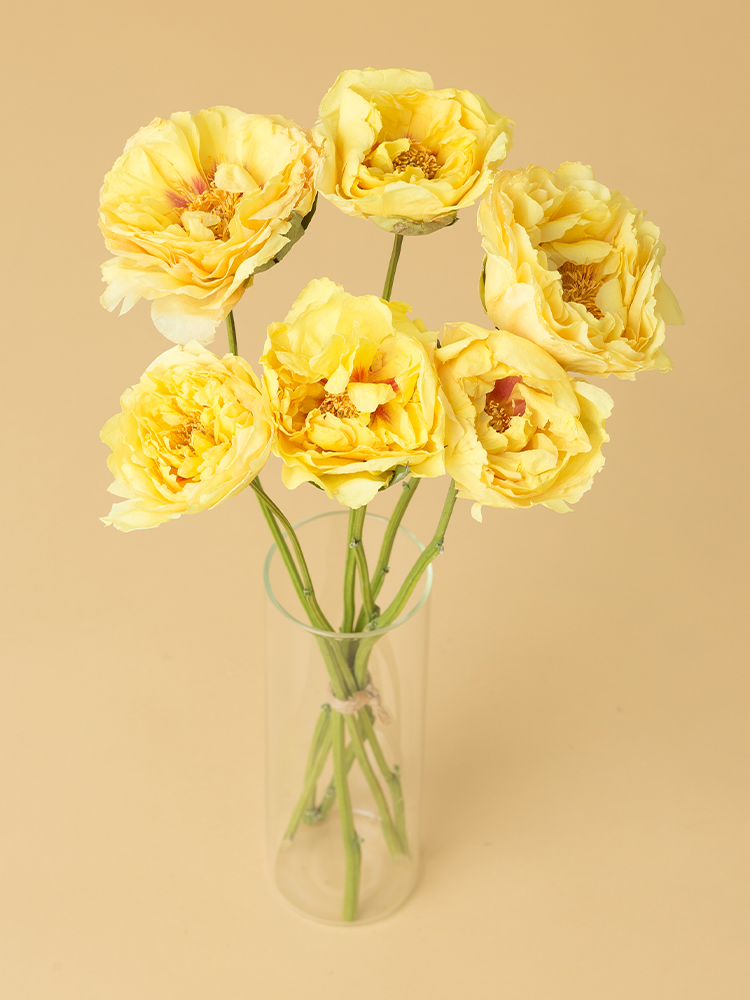 【早い者勝ち！お買い得品！】芍薬 しゃくやく ドライフラワー 120本 芍薬(シャクヤク) ドライフラワー おまかせ10本セット お花 はな