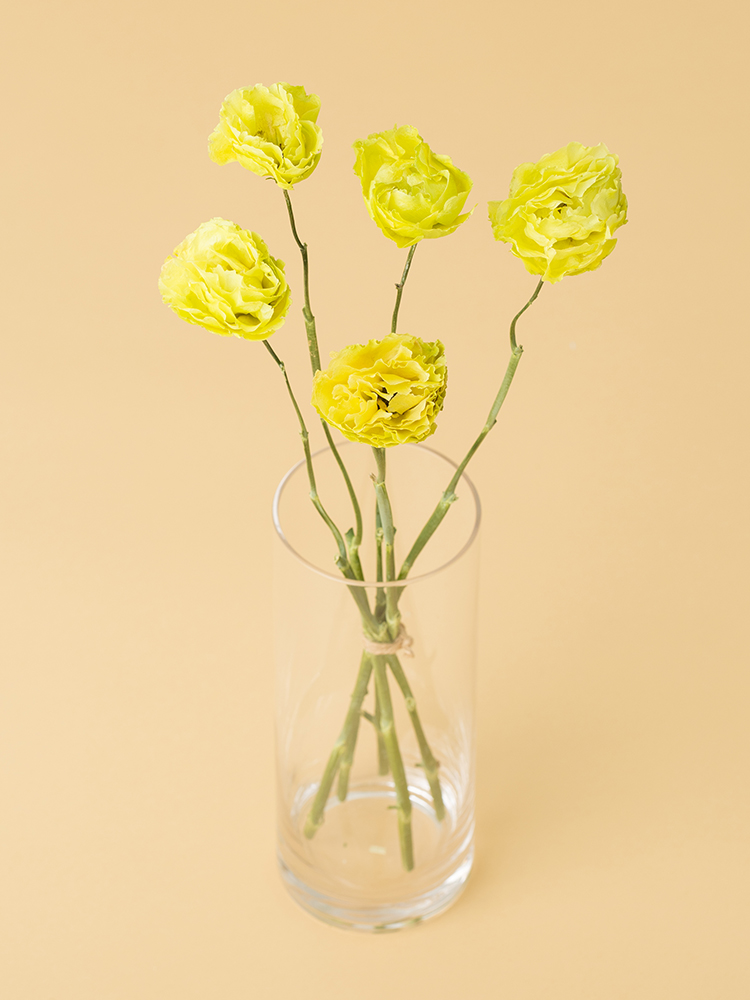 【高級ドライ】トルコキキョウ・フリンジ(緑) 品種おまかせの全体写真のアップ