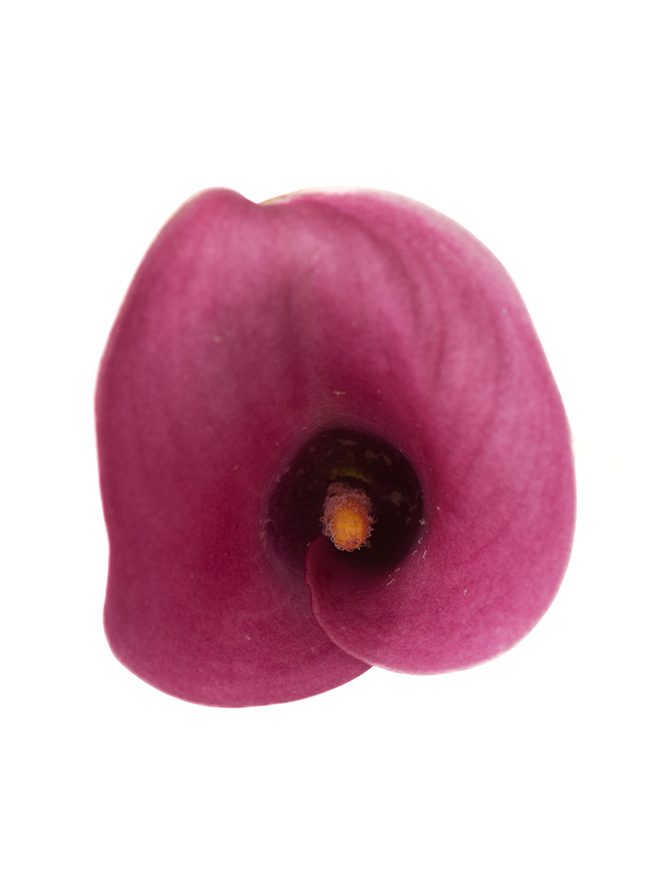 沢山のお花が描かれピンクと茶色のコントラスト素敵なカイセリオールドキリム 沢山のお花が描かれピンクと茶色のコントラスト素敵なカイセリ
