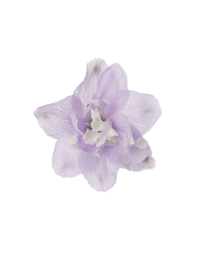 【生花】デルフィニウム(エラータム)薄紫 品種おまかせの花アップ
