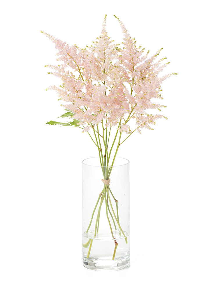【生花】アスチルベ　ライトピンクの全体写真
