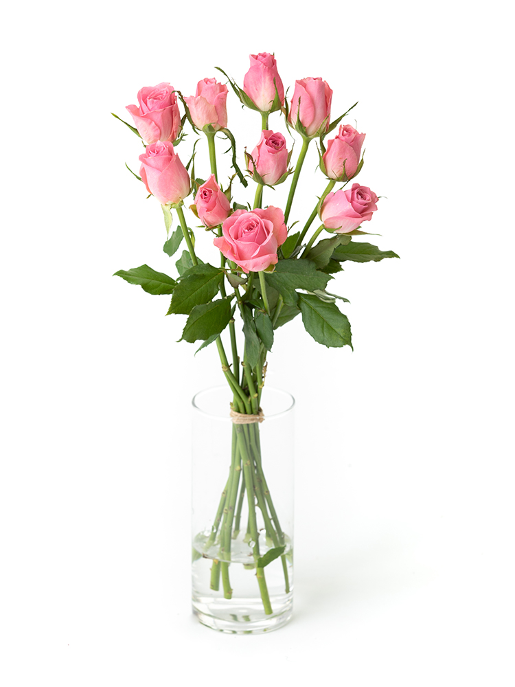 【生花】バラ　エースピンクの全体写真