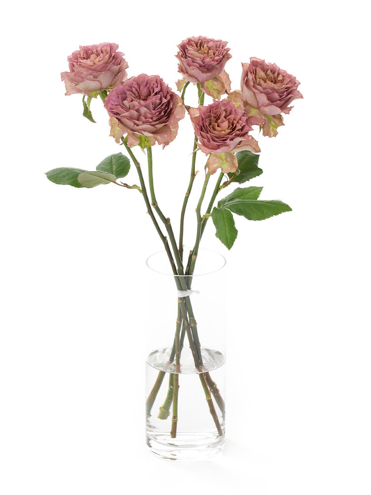 【生花】バラ　テナチュールの全体写真